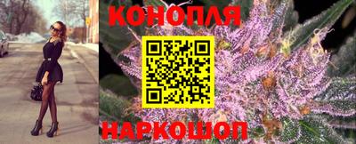крисы Апшеронск